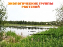 ЭКОЛОГИЧЕСКИЕ ГРУППЫ
РАСТЕНИЙ
МАОУ СОШ № 33,
г. Тамбов.
Учитель биологии: