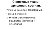 Скелетные ткани: хрящевая, костная