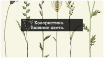 Колористика. Влияние цвета