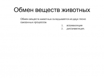 Обмен веществ животных