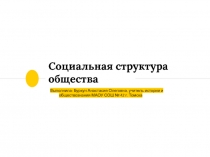 Социальная структура общества