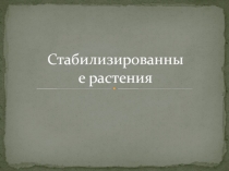 Стабилизированные растения