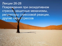 Лекции 26-28
Повреждения при оксидативном стрессе, защитные механизмы,