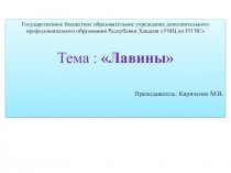 Государственное бюджетное образовательное учреждение дополнительного