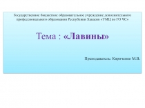 Государственное бюджетное образовательное учреждение дополнительного