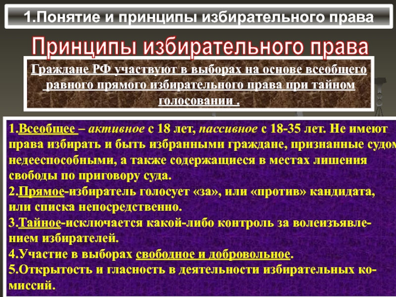 Принципы избирательного права в рф презентация