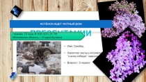 КОТЁНОК ИЩЕТ УЮТНЫЙ ДОМ
Георгий, 23 года, 8-916-623-21-78 Московская область,