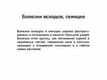 Болезни всходов, сеянцев