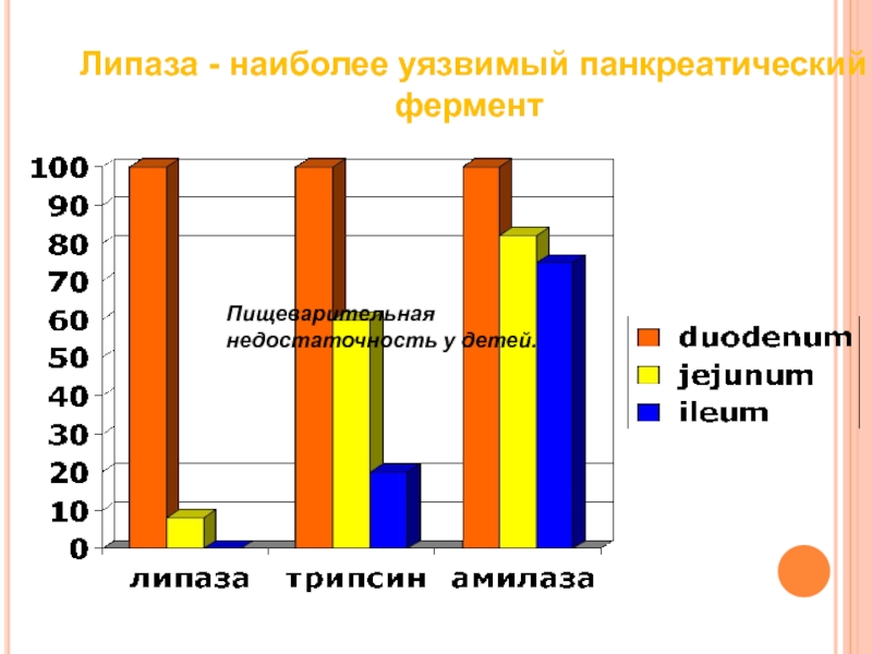 Панкреатическая липаза у кошек. Ферментотерапия у детей. Липаза в смесях детских.