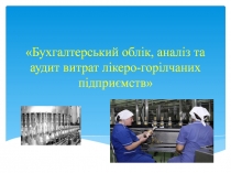 Бухгалтерський облік, аналіз та аудит витрат лікеро-горілчаних підприємств