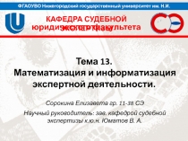 Тема 13. Математизация и информатизация экспертной деятельности