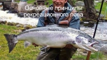 Основные принципы рекреационного лова