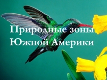 Природные зоны
Южной Америки