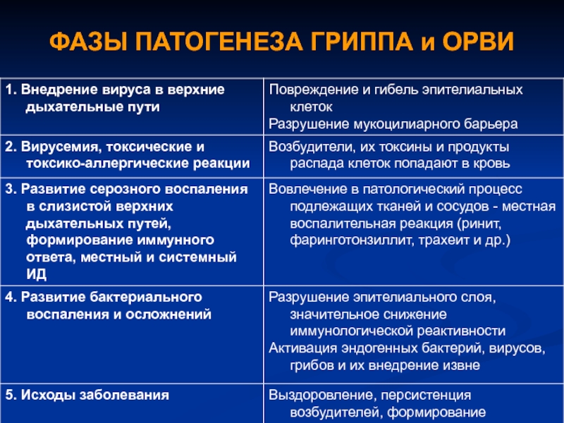 Развитие орви. Патогенез острых респираторных заболеваний. Патогенез ОРВИ. Патогенез респираторных вирусных инфекций. Патогенез гриппа.