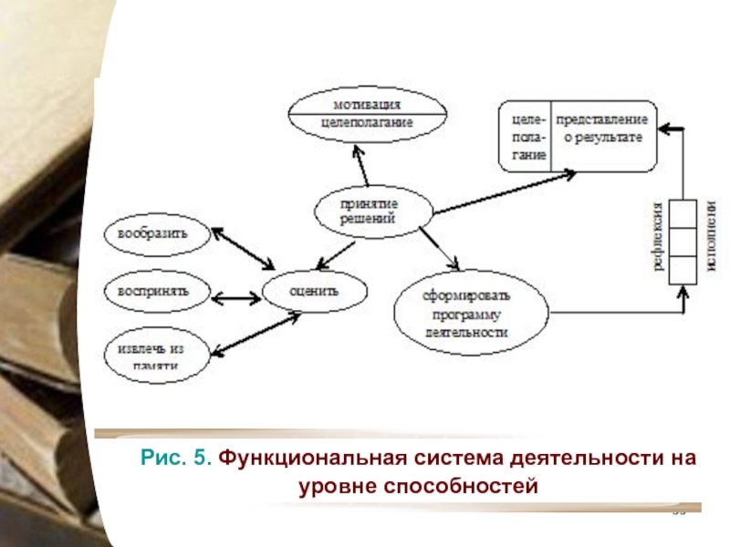 Система деятельности. Функциональная психологическая система способностей Шадриков. Модель функциональной психологической системы деятельности. Психологическая функциональная система. Функциональных блоков психологической системы деятельности..