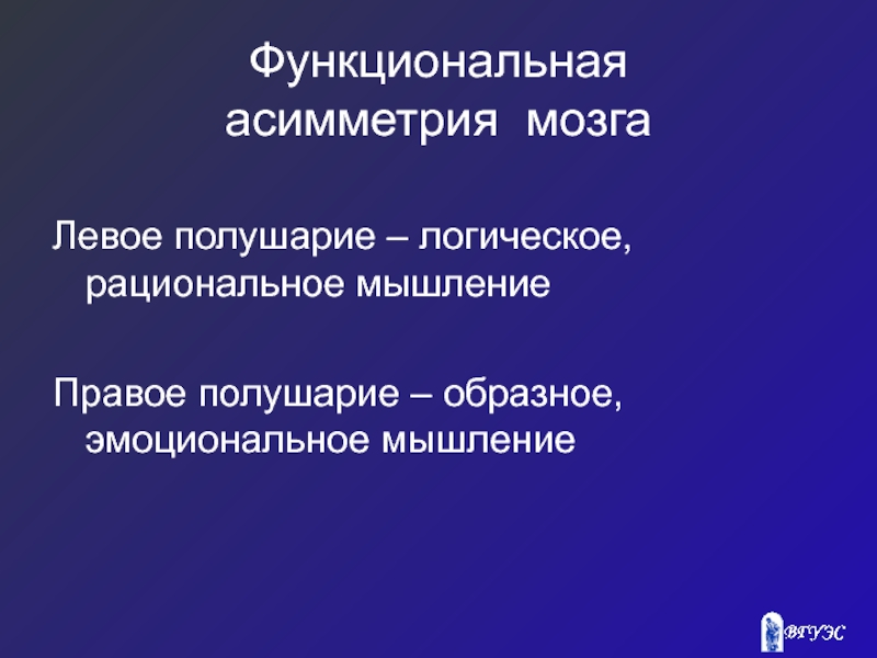 Функциональное мышление. Морфологическая асимметрия это. Асимметрия доказательств. Асимметрия семиосферы. Функциональная несимметричность ОС.