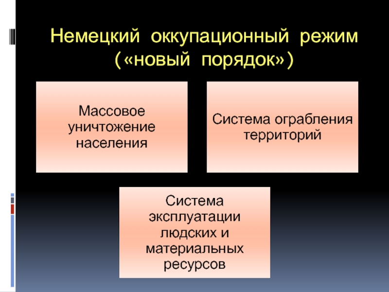 Массовый порядок. Оккупационный режим новый порядок.