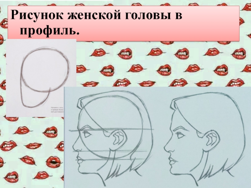 Рисунок в длину. Рисунки женских головок. Голова женщины рисунок разметка. Картинки женской головы для обучения. Рисовать дав.