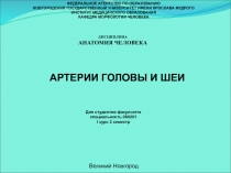 АРТЕРИИ ГОЛОВЫ И ШЕИ
ФЕДЕРАЛЬНОЕ АГЕНТСТВО ПО ОБРАЗОВАНИЮ
НОВГОРОДСКИЙ