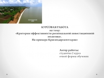 КУРСОВАЯ РАБОТА
на тему:
Критерии эффективности региональной инвестиционной