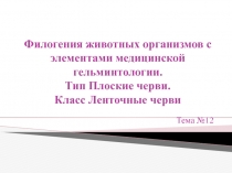 Филогения животных организмов с элементами медицинской гельминтологии. Тип