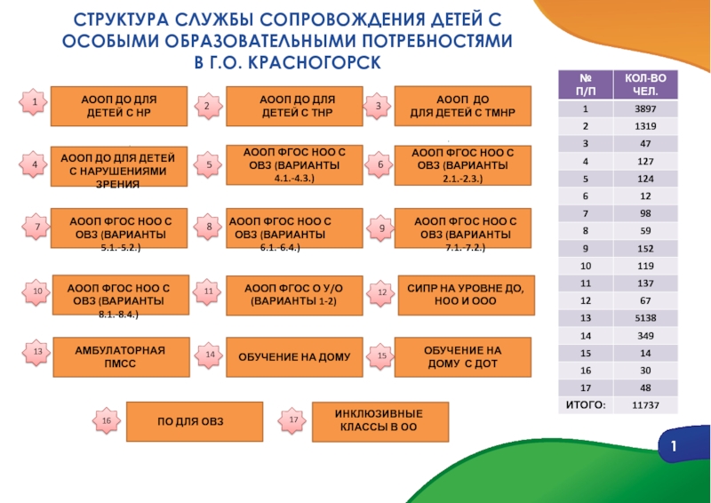1
ОРГАНИЗАЦИОННО-ПЕДАГОГИЧЕСКИЕ ОСНОВЫ ОТДАЛЕННОЙ ПРОФИЛАКТИКИ ДЕСТРУКТИВНЫХ СТРУКТУРА СЛУЖБЫ СОПРОВОЖДЕНИЯ ДЕТЕЙ С ОСОБЫМИ ОБРАЗОВАТЕЛЬНЫМИ ПОТРЕБНОСТЯМИ В Г.О. КРАСНОГОРСК1АООП СТРУКТУРА СЛУЖБЫ СОПРОВОЖДЕНИЯ ДЕТЕЙ С ОСОБЫМИ ОБРАЗОВАТЕЛЬНЫМИ ПОТРЕБНОСТЯМИ  В Г.О. КРАСНОГОРСК1АООП ДО ДЛЯ ДЕТЕЙ С ТНРАООП