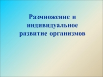 Размножение и индивидуальное развитие организмов