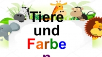 Tiere und F a r b e n