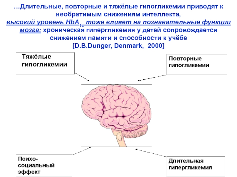 Сахарный диабет мозга. Длительная гипогликемия приводит к необратимым повреждениям. Осложнения при гипогликемии. Гипогликемия влияние на мозг.