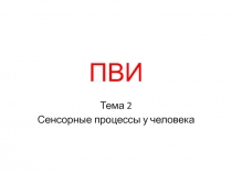 ПВИ