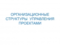 ОРГАНИЗАЦИОННЫЕ СТРУКТУРЫ УПРАВЛЕНИЯ ПРОЕКТАМИ