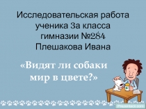 Исследовательская работа ученика 3а класса гимназии №284 Плешакова Ивана