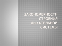 Закономерности строения дыхательной системы