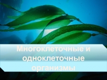 Многоклеточные и одноклеточные организмы