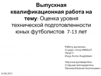 Выпускная квалификационная работа на тему : Оценка уровня технической