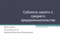 Субъекты малого и среднего предпринимательства