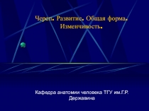 Череп. Развитие. Общая форма. Изменчивость