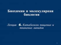 1
Б иохимия и молекулярная биология
Лекция 6. Катаболизм пищевых и тканевых