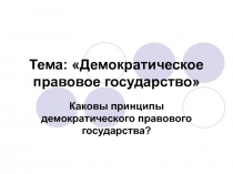 Тема: Демократическое правовое государство