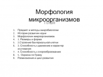 Морфология микроорганизмов