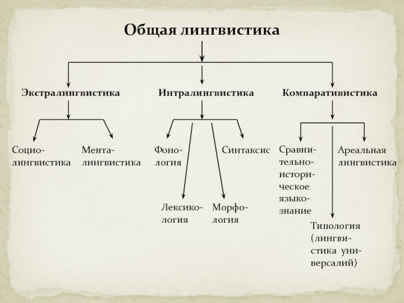 Составить сложный план на тему разделы науки о языке