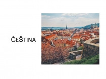 ČEŠTINA