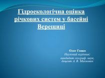 Гідроекологічна оцінка річкових систем у басейні Верещиці