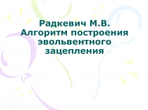 Радкевич М.В. Алгоритм построения эвольвентного зацепления