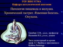 ГОУ ВПО УГМА Кафедра патологической анатомии Патология пищевода и желудка