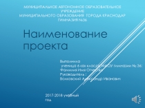 Муниципальное автономное образовательное учреждение Муниципального образования