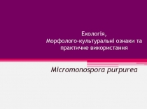 Екологія, Морфолого-культуральні ознаки та практичне використання