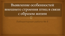 Выявление особенностей внешнего строения птиц в связи с образом жизни