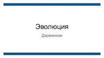 Эволюция