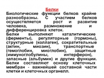 Белки
Биологические функции белков крайне разнообразны. С участием белков